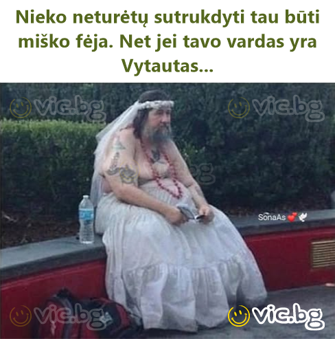 Nieko neturėtų sutrukdyti tau būti miško fėja. Net jei tavo vardas yra Vytautas...
