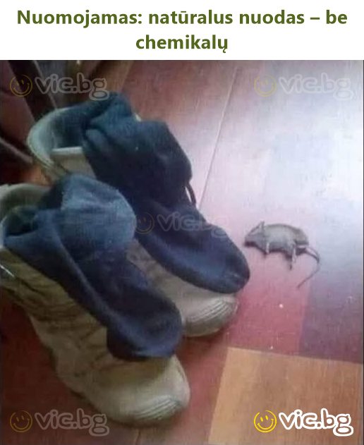 Nuomojamas: natūralus nuodas – be chemikalų