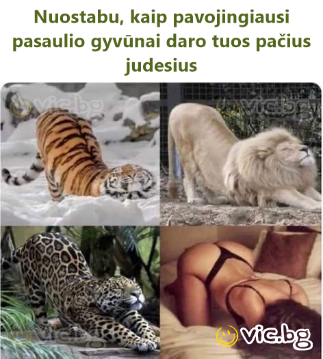 Nuostabu, kaip pavojingiausi pasaulio gyvūnai daro tuos pačius judesius