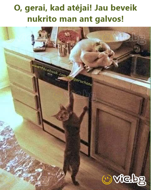 O, gerai, kad atėjai! Jau beveik nukrito man ant galvos!