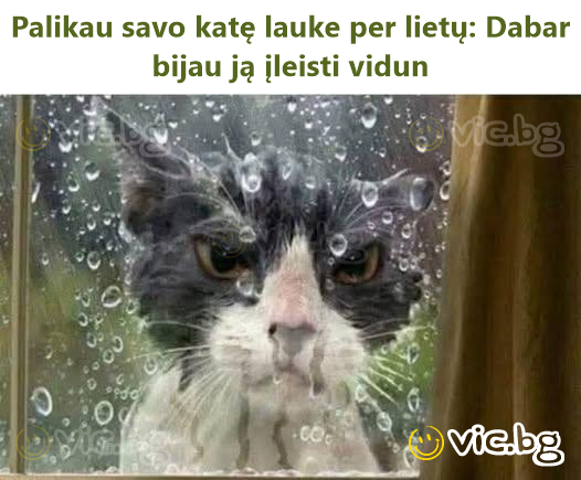Palikau savo katę lauke per lietų: Dabar bijau ją įleisti vidun