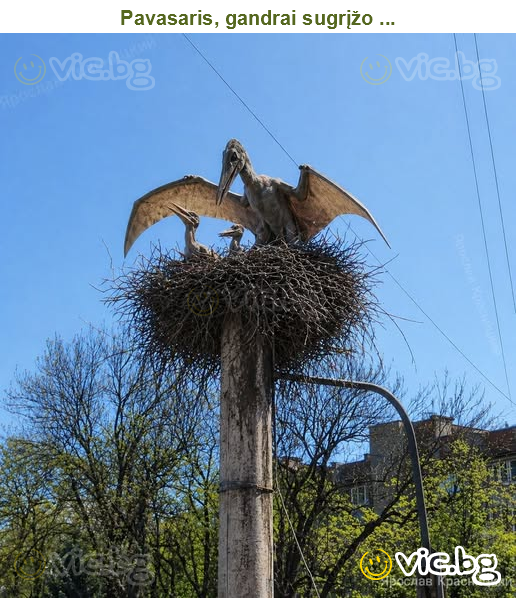 Pavasaris, gandrai sugrįžo ...