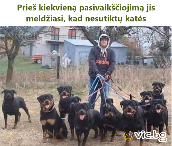 Prieš kiekvieną pasivaikščiojimą jis meldžiasi, kad nesutiktų katės