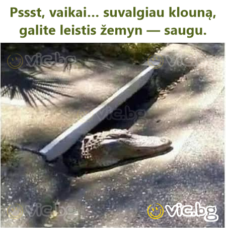 Pssst, vaikai… suvalgiau klouną, galite leistis žemyn — saugu.