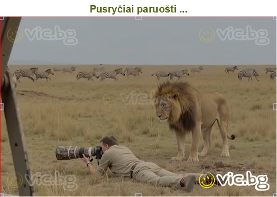 Pusryčiai paruošti ...