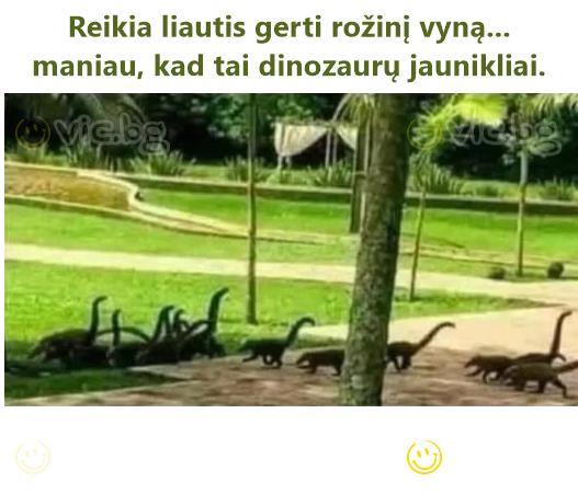 Reikia liautis gerti rožinį vyną... maniau, kad tai dinozaurų jaunikliai.