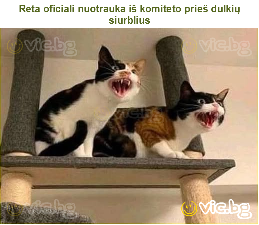 Reta oficiali nuotrauka iš komiteto prieš dulkių siurblius