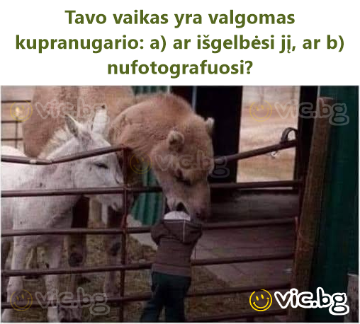 Tavo vaikas yra valgomas kupranugario: a) ar išgelbėsi jį, ar b) nufotografuosi?