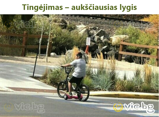 Tingėjimas – aukščiausias lygis