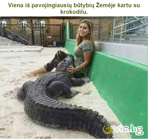 Viena iš pavojingiausių būtybių Žemėje kartu su krokodilu.