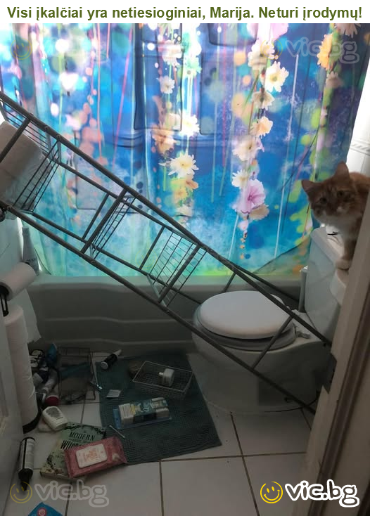 Visi įkalčiai yra netiesioginiai, Marija. Neturi įrodymų!