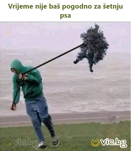 Vrijeme nije baš pogodno za šetnju psa