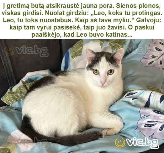Į gretimą butą atsikraustė jauna pora. Sienos plonos, viskas girdisi. Nuolat girdžiu: „Leo, koks tu protingas. Leo, tu toks nuostabus. Kaip aš tave myliu.“ Galvoju: kaip tam vyrui pasisekė, taip juo...
