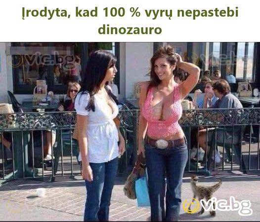 Įrodyta, kad 100 % vyrų nepastebi dinozauro