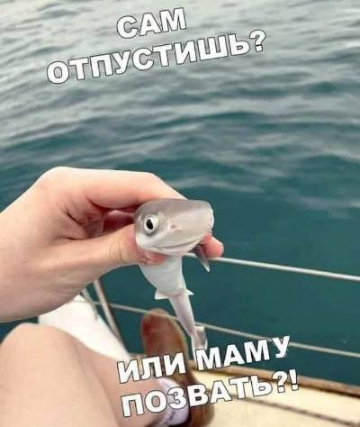 Cam отпустишь? Или маму позвать?!