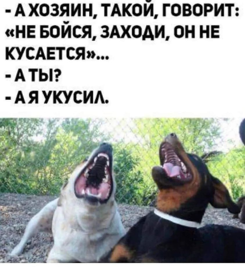 - А хозяин, такой, говорит: «не бойся, заходи, он не кусается».. - А ты?	. - А я укусил.
