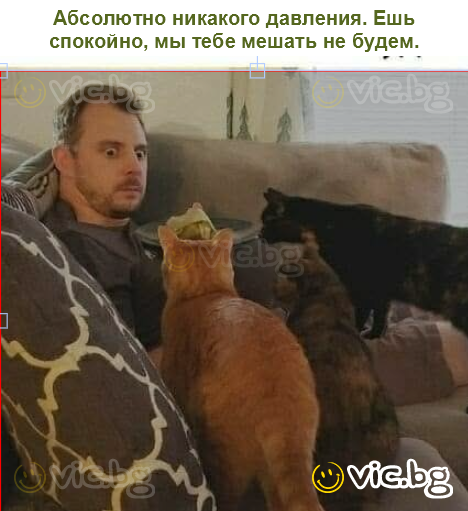 Абсолютно никакого давления. Ешь спокойно, мы тебе мешать не будем.