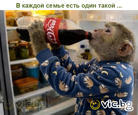 В каждой семье есть один такой ...