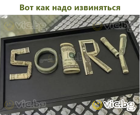 Вот как надо извиняться