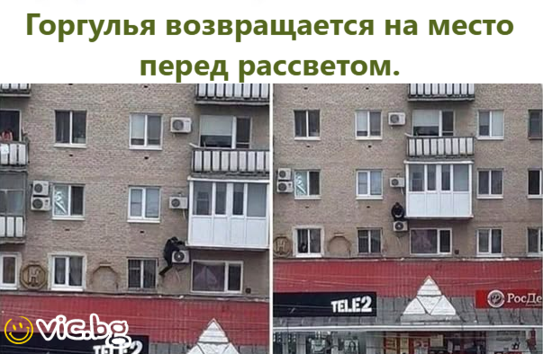 Горгулья возвращается на место ред рассветом.  