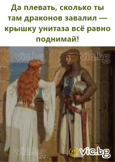 Да плевать, сколько ты там драконов завалил — крышку унитаза всё равно поднимай!