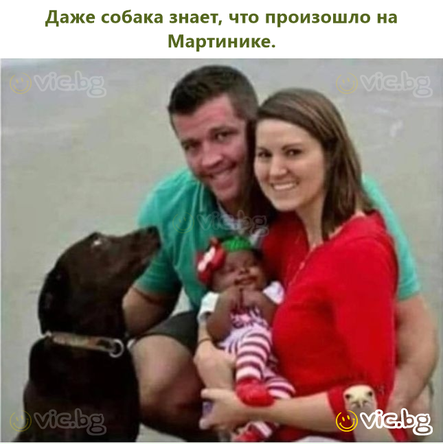 Даже собака знает, что произошло на Мартинике.