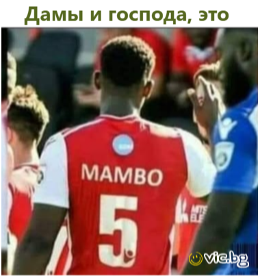 Дамы и господа, это