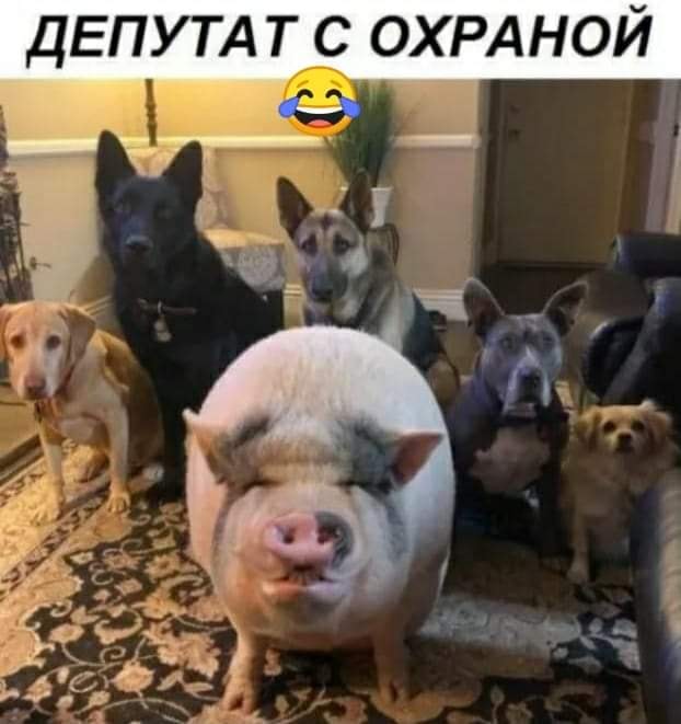Депутат с охраной