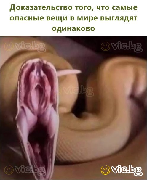 Доказательство того, что самые опасные вещи в мире выглядят одинаково