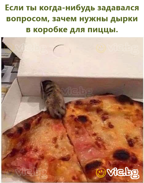 Если ты когда-нибудь задавался вопросом, зачем нужны дырки в коробке для пиццы.