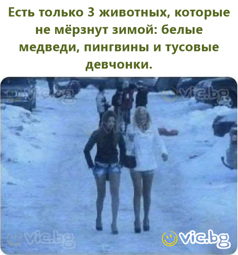 Есть только 3 животных, которые не мёрзнут зимой: белые медведи, пингвины и тусовые девчонки.