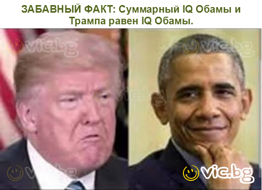 ЗАБАВНЫЙ ФАКТ: Суммарный IQ Обамы и Трампа равен IQ Обамы.