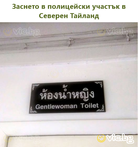 Замечено в полицейском участке на севере Таиланда