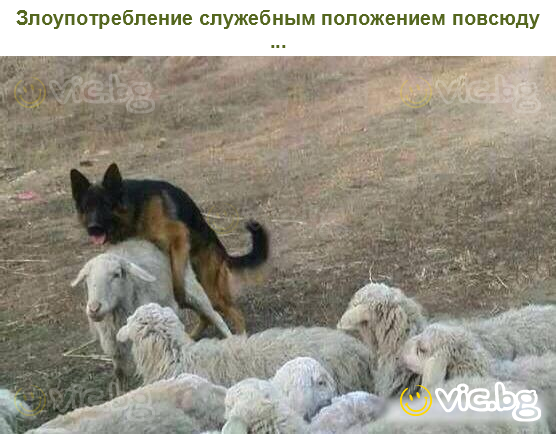 Злоупотребление служебным положением повсюду ...