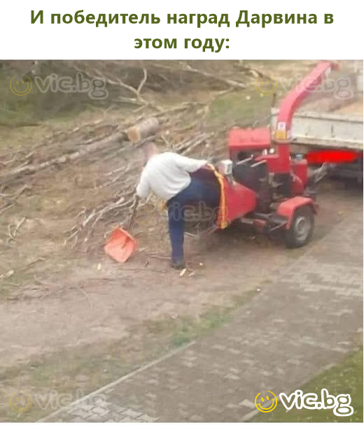 И победитель наград Дарвина в этом году: