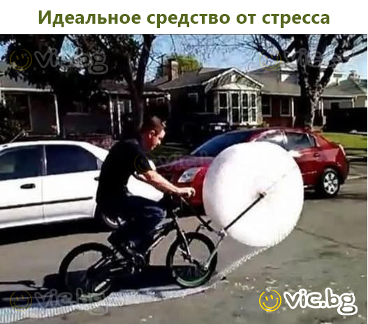 Идеальное средство от стресса