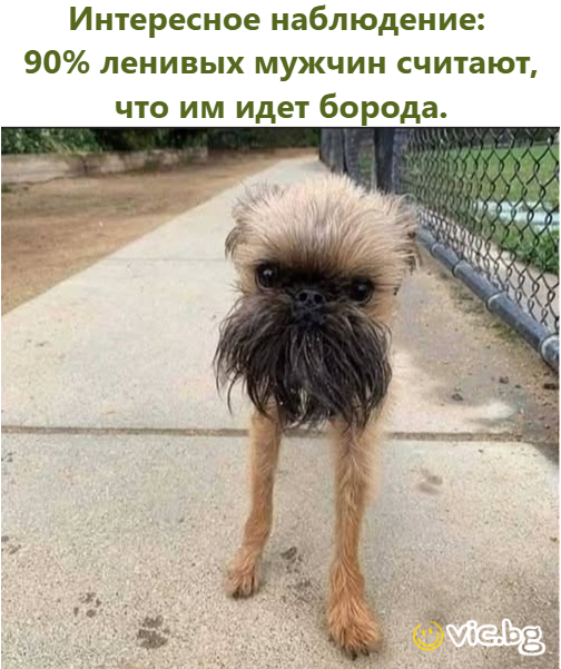 Интересное наблюдение:  90% ленивых мужчин считают, что им идет борода.