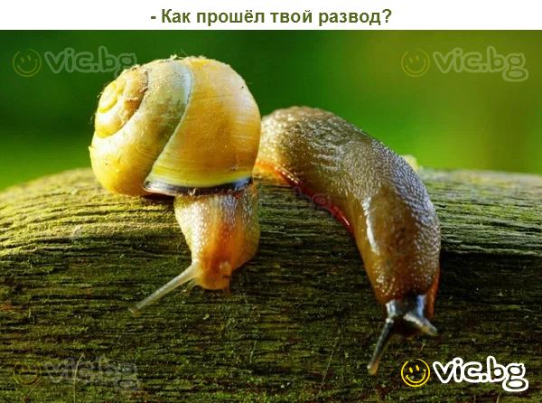 - Как прошёл твой развод?