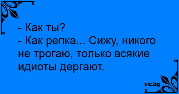 Ты как контакты подгоняешь 12 стульев