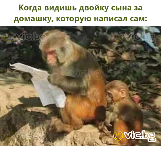 Когда видишь двойку сына за домашку, которую написал сам: