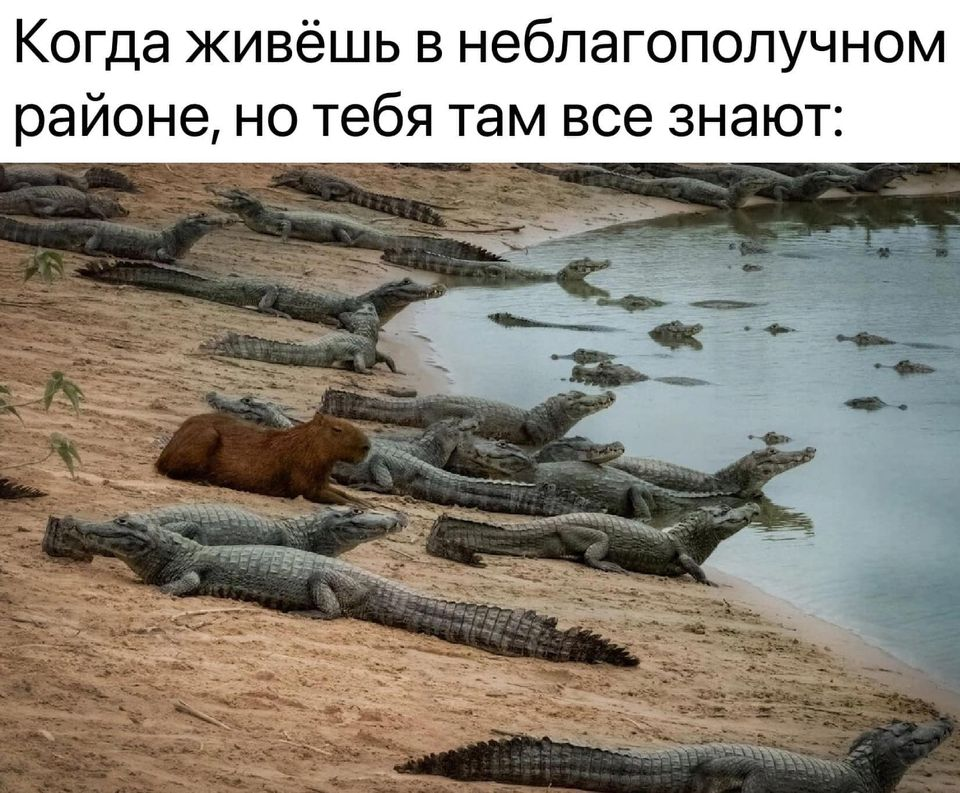 Когда живёшь в неблагополучном районе, но тебя там все знают: