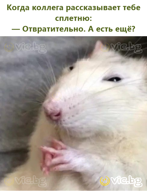 Когда коллега рассказывает тебе сплетню: — Отвратительно. А есть ещё?