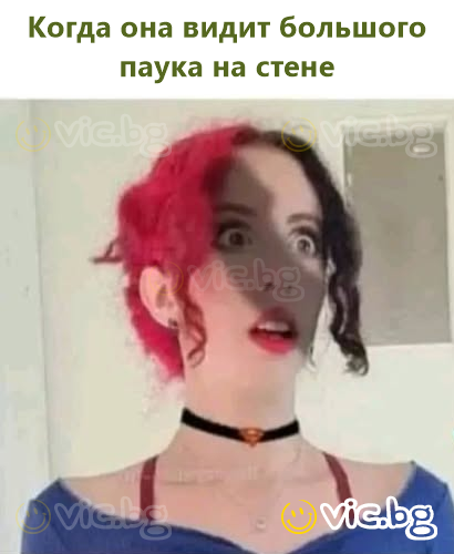 Когда она видит большого паука на стене