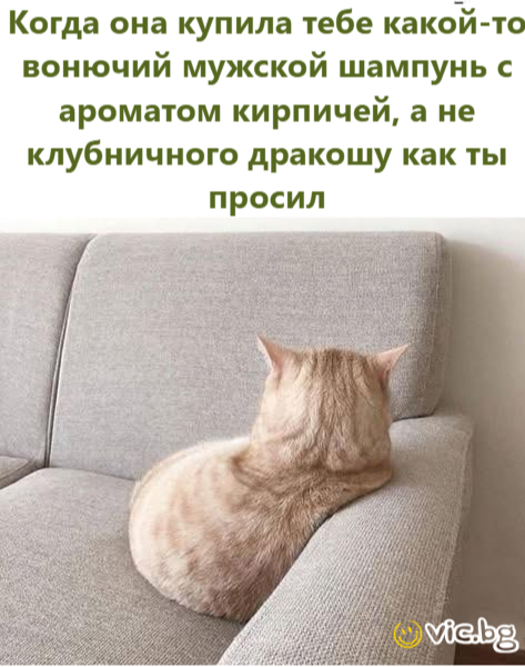 Когда она купила тебе какой-то вонючий мужской шампунь с ароматом кирпичей, а не клубничного дракошу как ты просил
