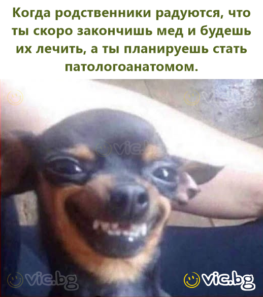 Когда родственники радуются, что ты скоро закончишь мед и будешь их лечить, а ты планируешь стать патологоанатомом.