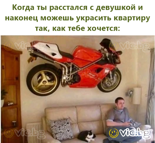 Когда ты расстался с девушкой и наконец можешь украсить квартиру так, как тебе хочется:
