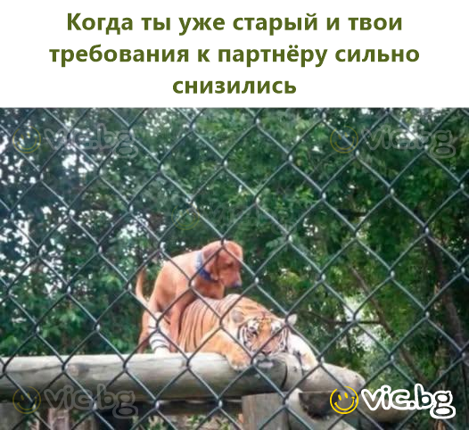 Когда ты уже старый и твои требования к партнёру сильно снизились