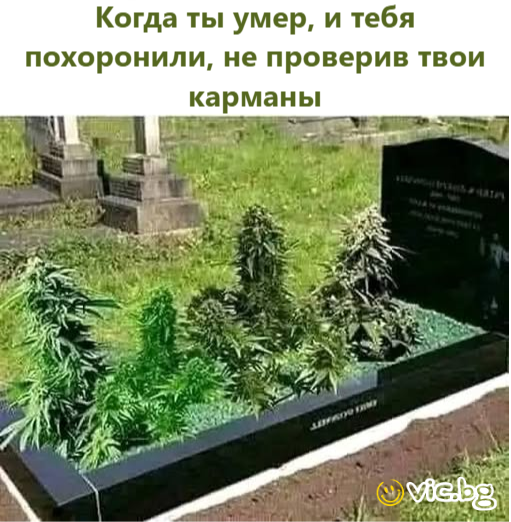 Когда ты умер, и тебя похоронили, не проверив твои карманы