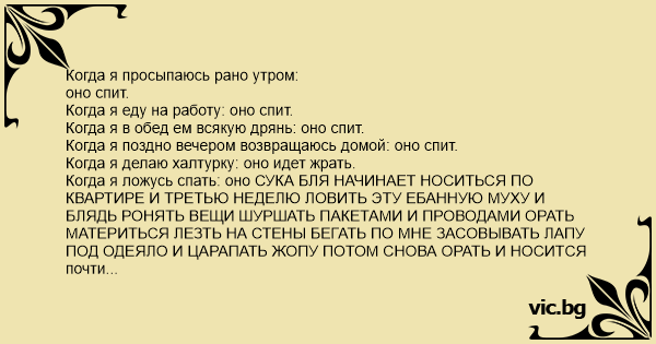 Просыпаюсь рано утром вместо завтрака и чая загружаю свой компьютер чем займусь я точно знаю