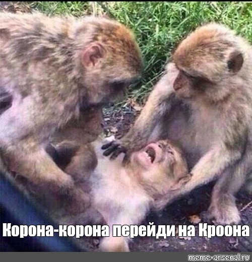 Корона-корона перейти на Кроона